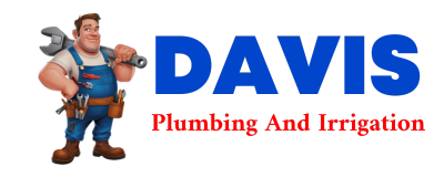 Trusted plumber in LAZBUDDIE